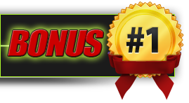 Bonus 1.png