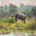 00bb360db613.png