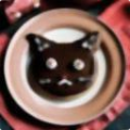0415593358a8.png