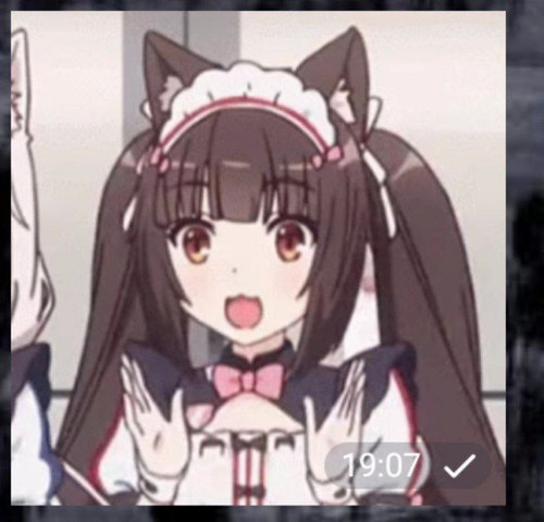 file 7424.jpg