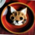 e7f58a5f02a6.png