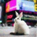 4472806ee88a.png