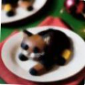 4f0bd03ff1b6.png