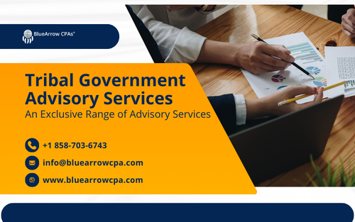 Tribal Government Advisory Services.png