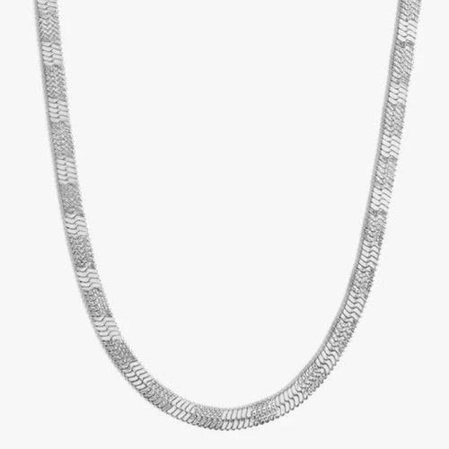 Raven Chain Silver1.jpg