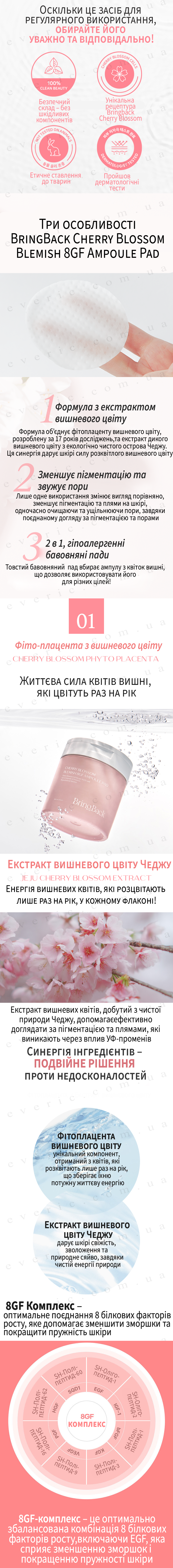 3 копия