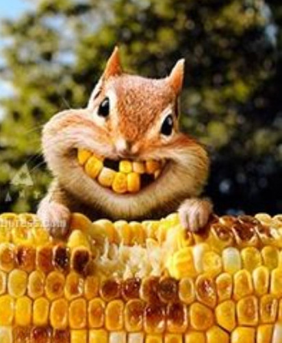 Screenshot 20250204 002311 Google.jpg