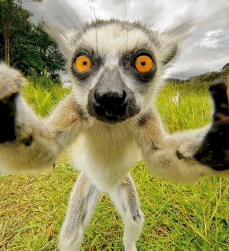 Screenshot 20250204 002620 Google.jpg