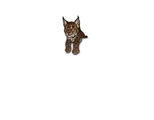 IMG 3861.png