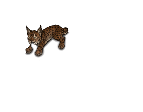 IMG 3881.png
