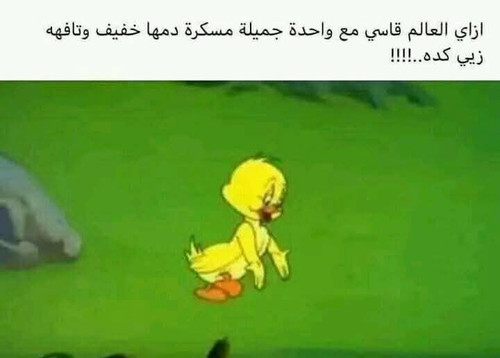 user79478030 3f08ec843ca4.jpg