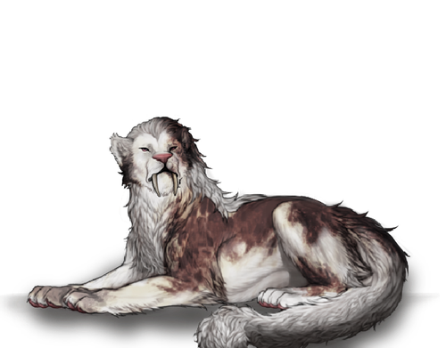 IMG 3163.png