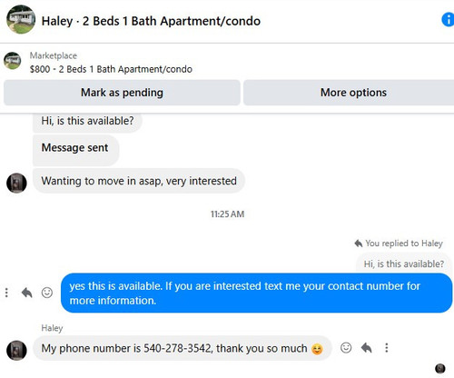 Screenshot 2025 02 03 114242.jpg