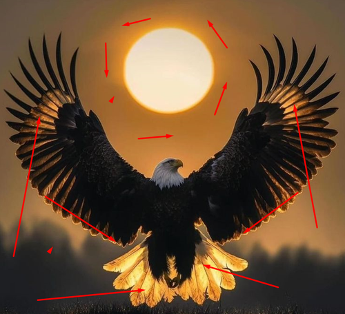 1738609981 155199486.png