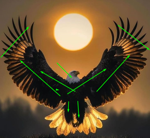 1738609971 289746.png