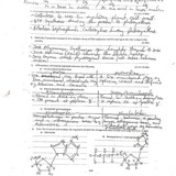 d3079332 33021040 BIO 201 8