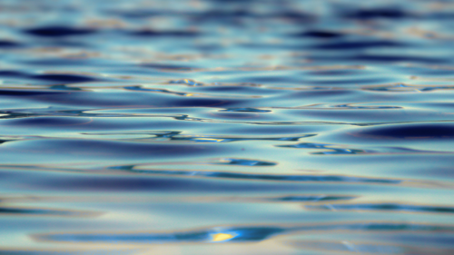 Untitled design (13).png
