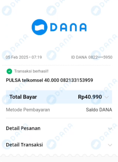DANA 28.png