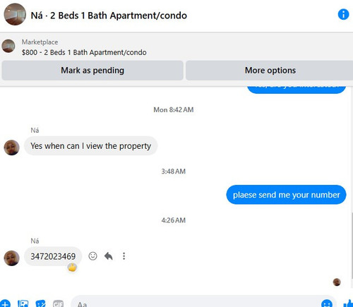 79.jpg