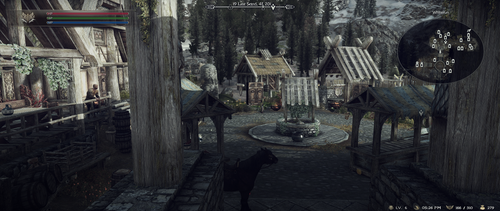 SkyrimSE 2025 01 26 15 53 36.png