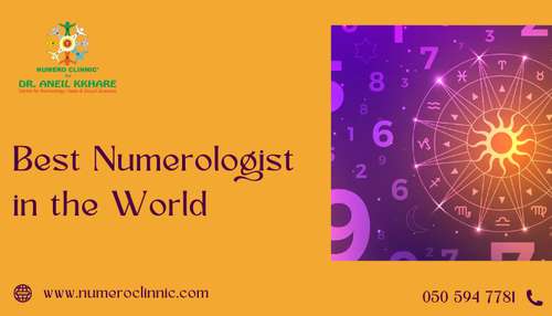 Best Numerologist in the World.png