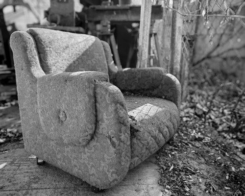 IMG 20250204 130519.jpg