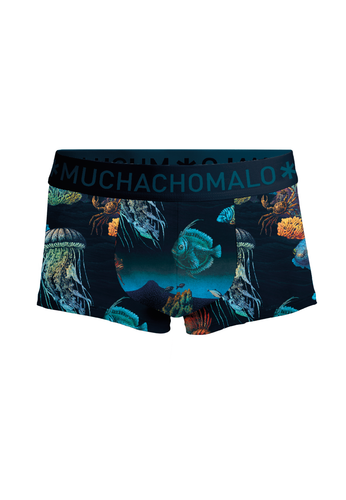 DEEPSEAMOUNTAINTOPS3025 04 02.png