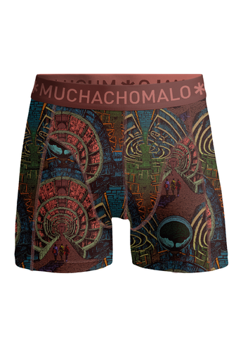 MAZELIFE1010 04 02.png