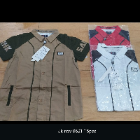 35a5e3068248.png