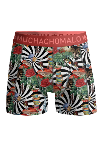 JACKBEANALICEWONDER1010 04 03.png