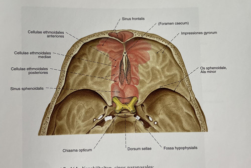 4b3d9bdfc193.jpg