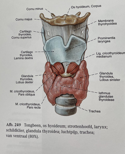 424299e84e8d.jpg