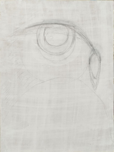 1738680222 1502774066.jpg