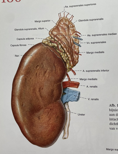 7b465e8ef3ab.jpg