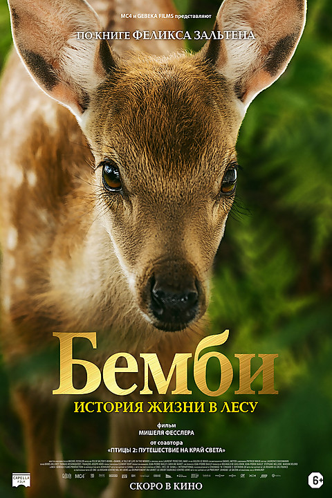 ru images kinorium com 11276193.jpg