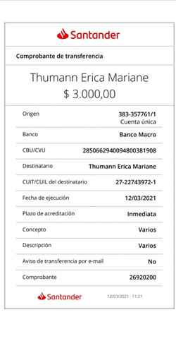 ejemplo transferencia.jpg