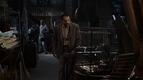 Paulie.1998.1080p.WEB DL.DD5.1.H.264 TrollHD 003.png