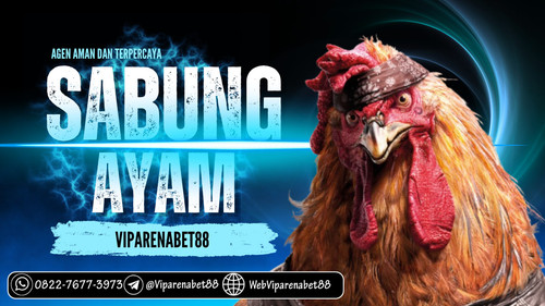 photo 2025 02 05 01 42 03.jpg