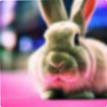 1bf8d95717b8.png