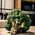 bc498b624a14.png