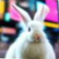 7bd3440e0af0.png