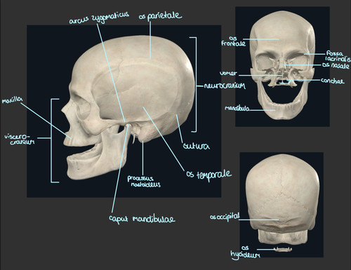 0eda8e9828c0.jpg