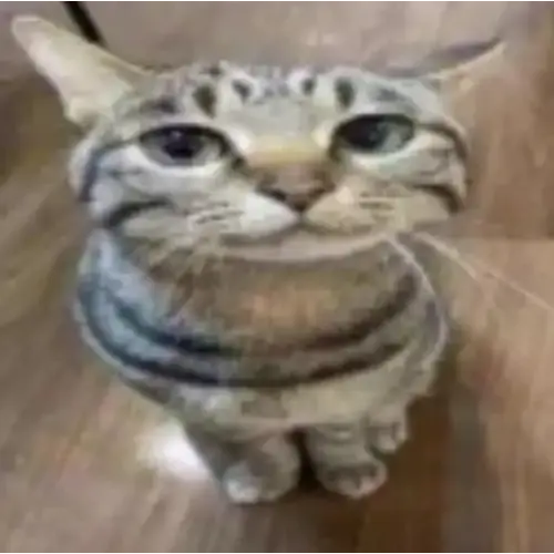 file.webp