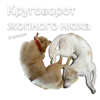 1738582096 57509881.webp
