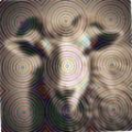 54d28ad2ac09.png