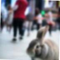f34d318aa13a.png