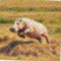 9e811c071281.png