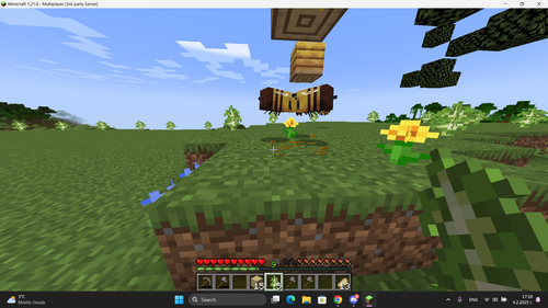 javaw xGc3i7bkbM.png