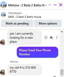 353.jpg