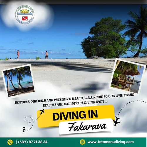 Diving in Fakarava.jpg
